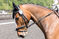 Bridle No.15