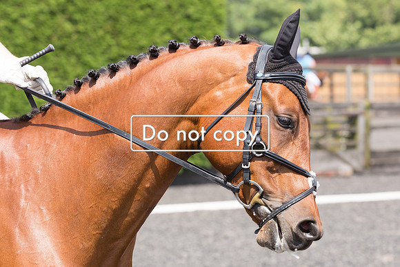 _54A6693