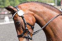 Bridle No.19