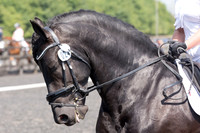Bridle No.24