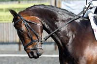 Bridle No.22