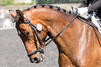 Bridle No.47