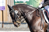 Bridle No.59