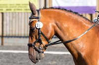 Bridle No.25