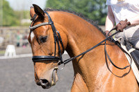 Bridle No.39