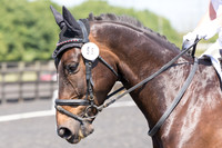 Bridle No.58