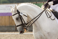 Bridle No.87