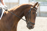 Bridle No.67