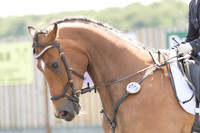 Bridle No.79