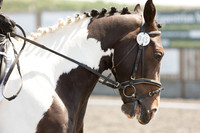 Bridle No.45