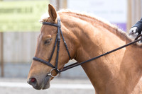 Bridle No.38
