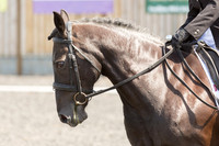 Bridle No.55