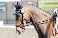 Bridle No.21