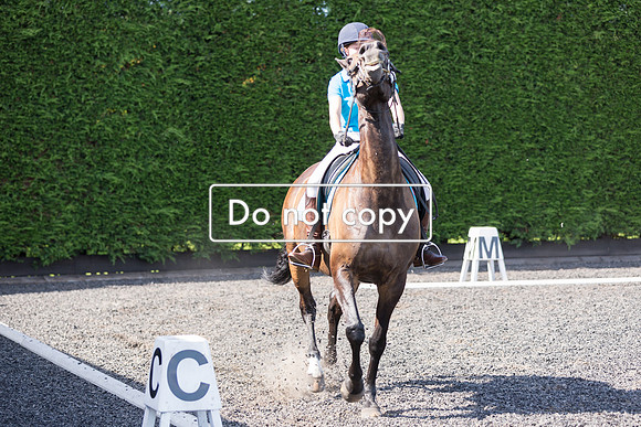 _54A5027