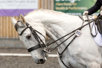 Bridle No.82