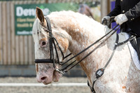Bridle No.80