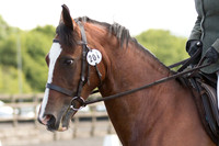 Bridle No.201