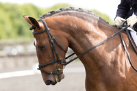 Bridle No.205