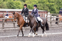 Bridle No.209 (Pairs)
