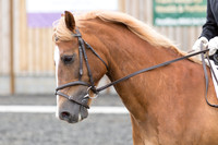 Bridle No.110