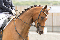 Bridle No.123