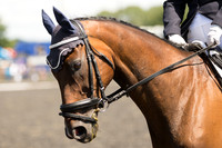 Bridle No.230