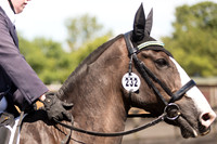 Bridle No.232