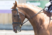 Bridle No.132