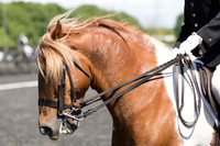 Bridle No.233