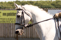 Bridle No.141