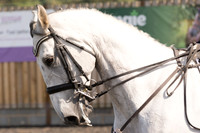 Bridle No.150
