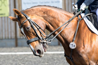 Bridle No.154