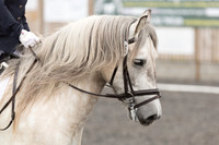 Bridle No.26