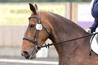 Bridle No.47