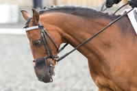 Bridle No.63