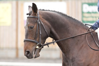 Bridle No.35