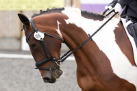 Bridle No.8