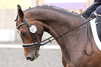 Bridle No.1