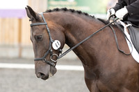 Bridle No.61