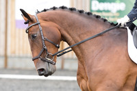 Bridle No.71