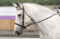 Bridle No.21