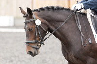 Bridle No.9
