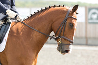 Bridle No.75