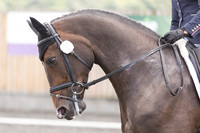 Bridle No.5