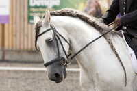 Bridle No.30