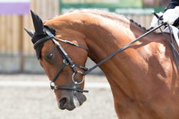 Bridle No.23
