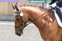 Bridle No.18
