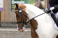 Bridle No.28