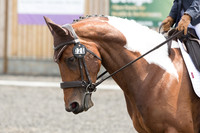 Bridle No.20