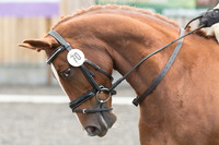 Bridle No.70
